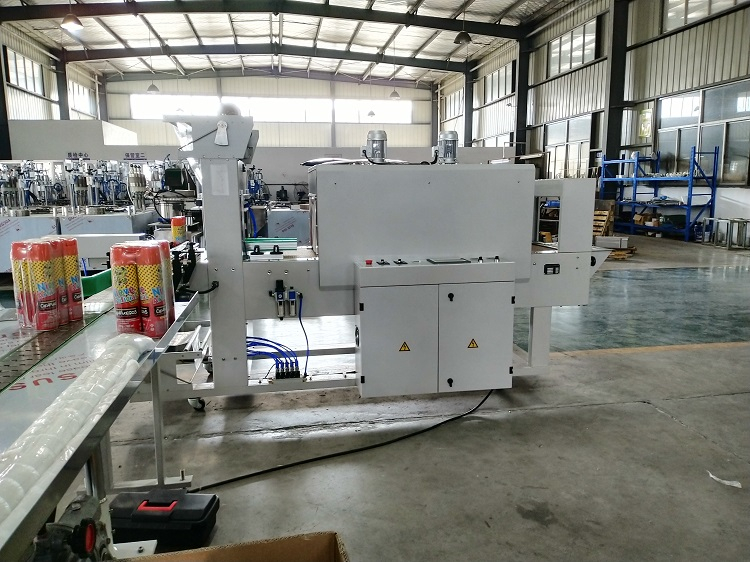 China Automatic Heat Shrink Wrap Tunnel Packaging Wrapping Machine